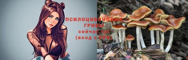 дурь Зеленодольск