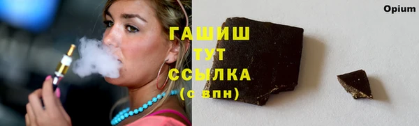 индика Заволжье