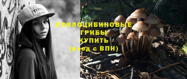 дурь Зеленодольск
