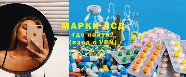 индика Заволжье