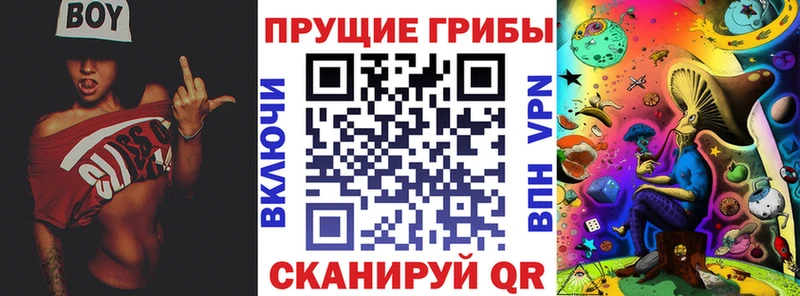 Купить где  Кадников  Псилоцибиновые грибы Cubensis 